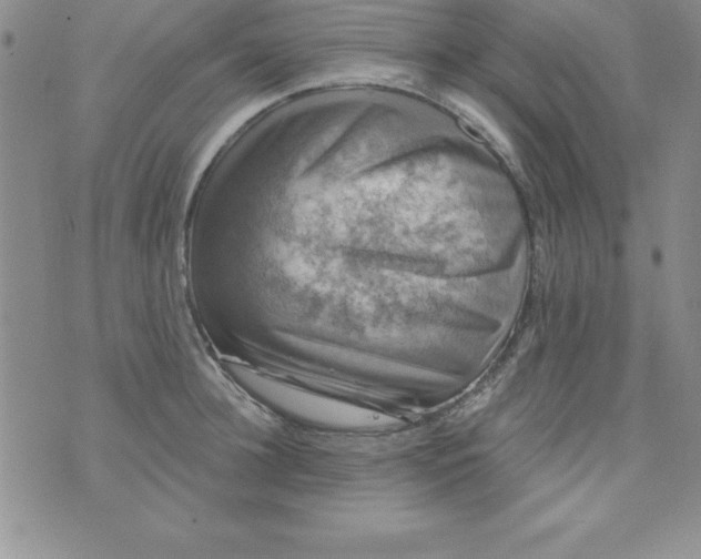 X0000075900948200610062114