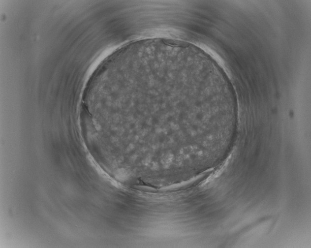 X0000075900949200610062114