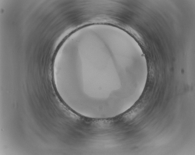 X0000075900950200610062114