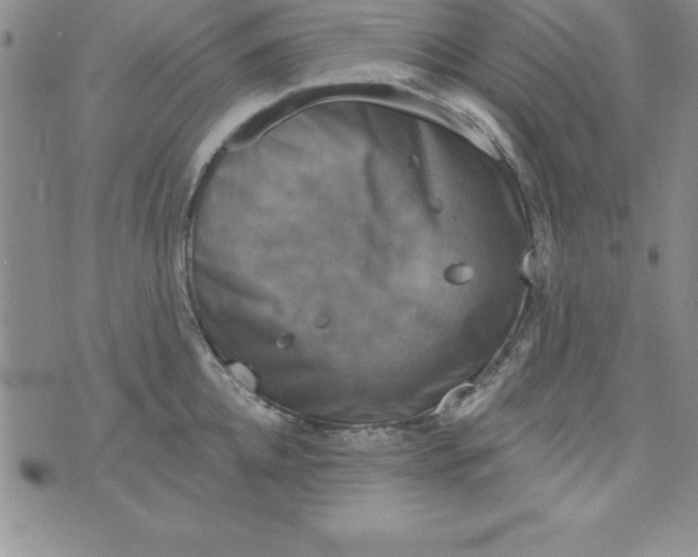 X0000075900952200610062114