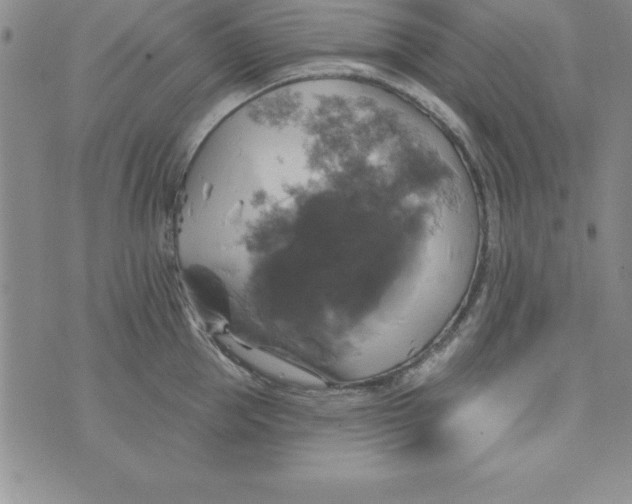 X0000075900953200610062114