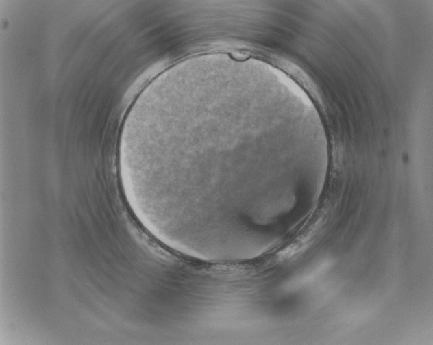 X0000075900954200610062114