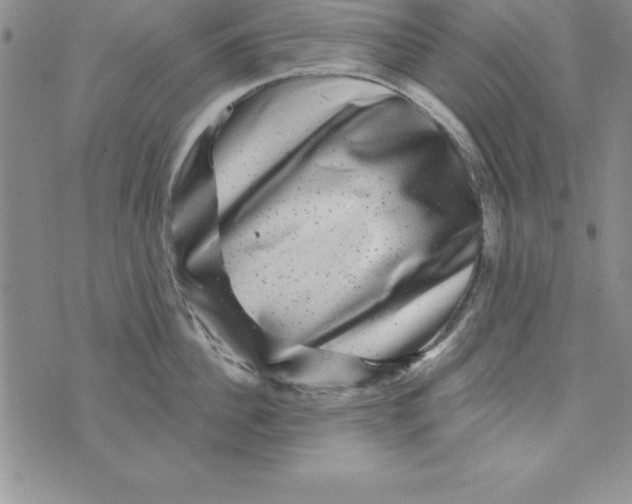 X0000075900956200610062114