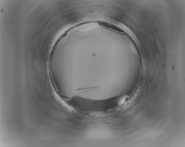 X0000075900958200610062114