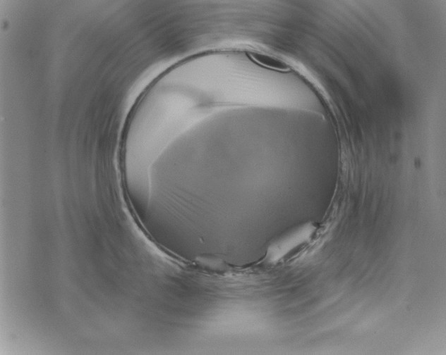 X0000075900959200610062114