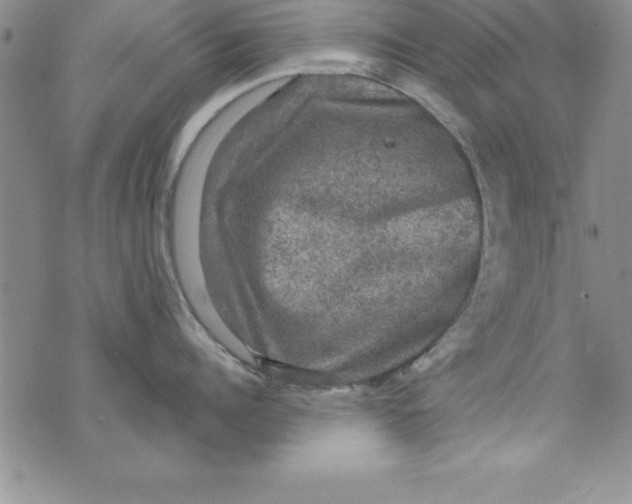 X0000075900960200610062114