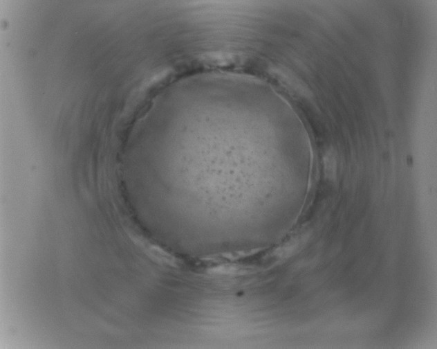 X0000075900961200610062114