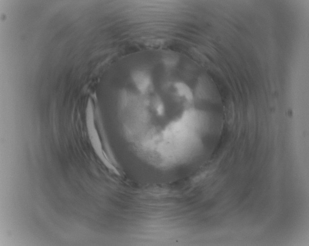 X0000075900962200610062114