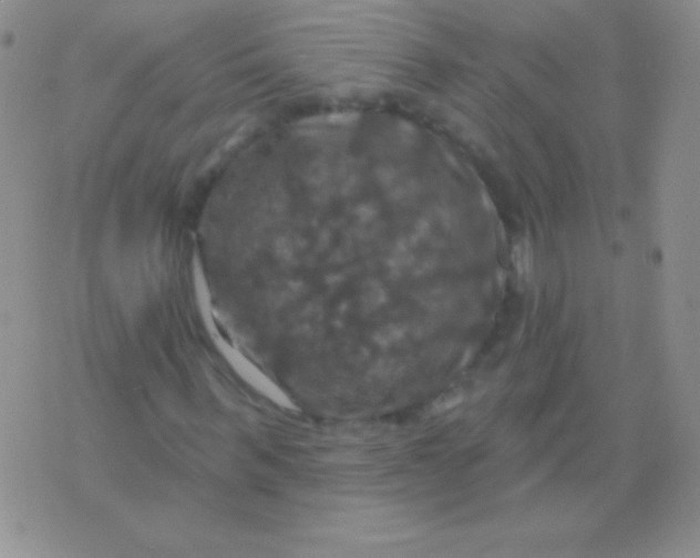 X0000075900963200610062114