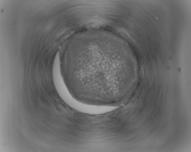 X0000075900964200610062114