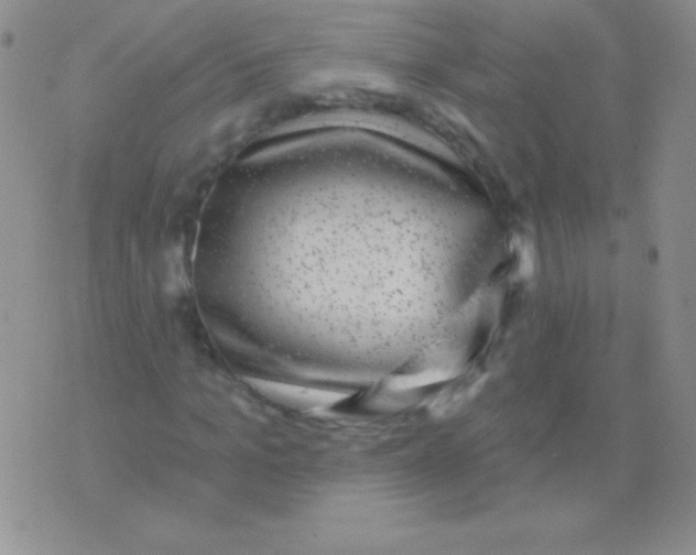 X0000075900965200610062114