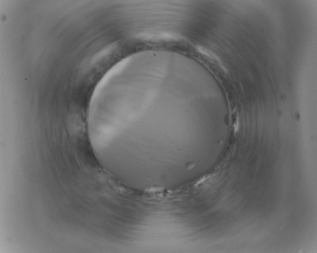 X0000075900966200610062114