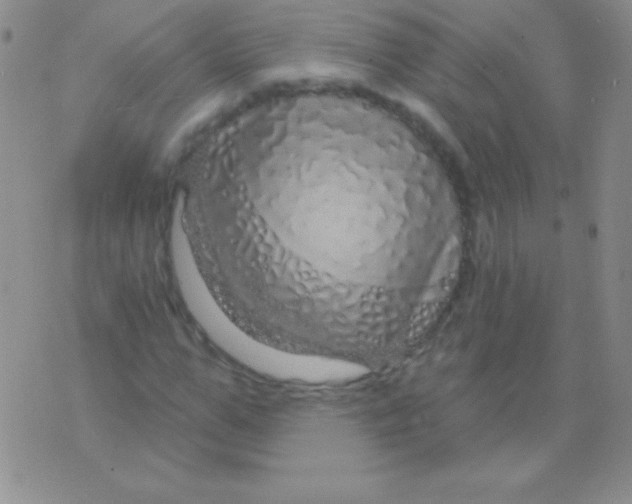 X0000075900967200610062114