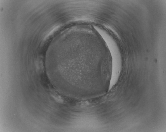 X0000075900968200610062114