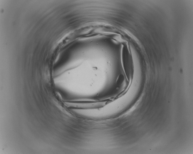 X0000075900969200610062114