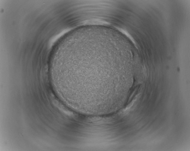 X0000075900971200610062113