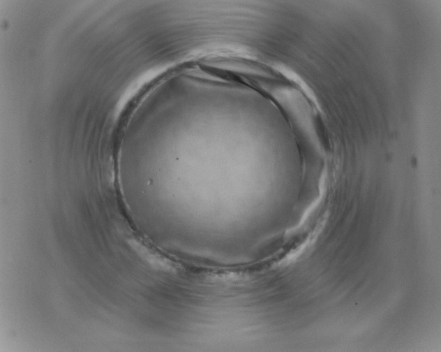 X0000075900973200610062113