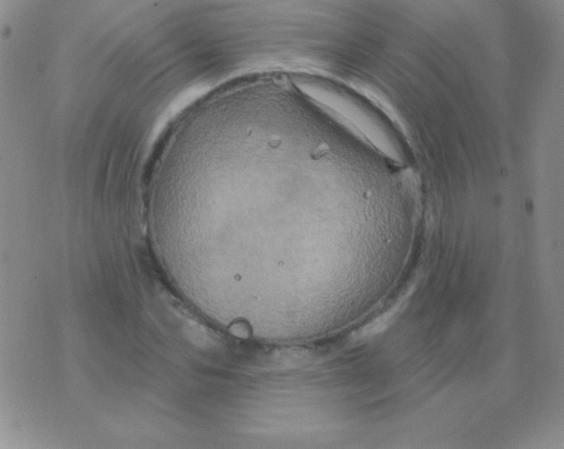 X0000075900974200610062113