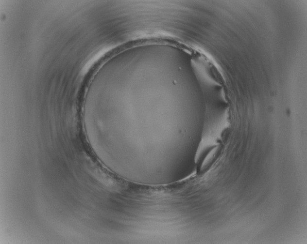 X0000075900975200610062113