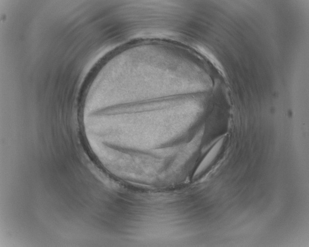 X0000075900976200610062113