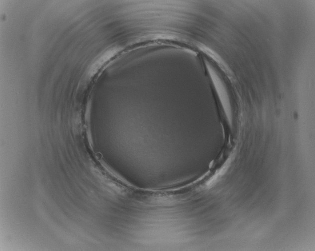 X0000075900977200610062113