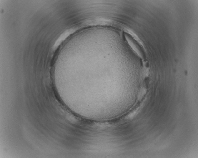 X0000075900978200610062113