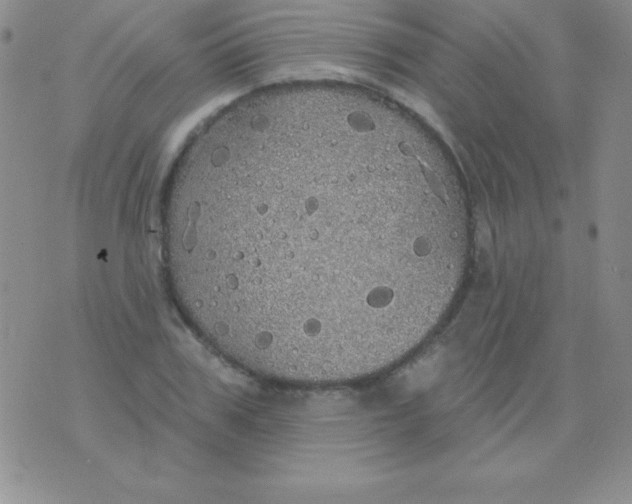 X0000075900979200610062113