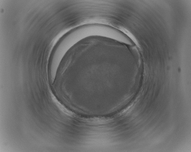 X0000075900980200610062113