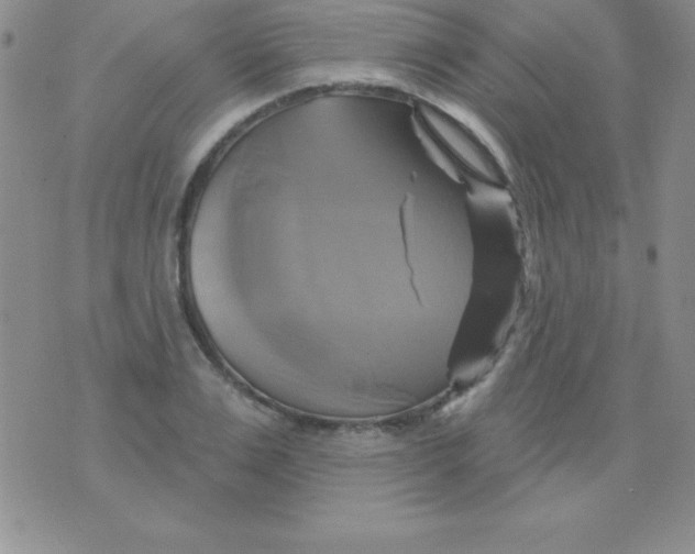 X0000075900983200610062113