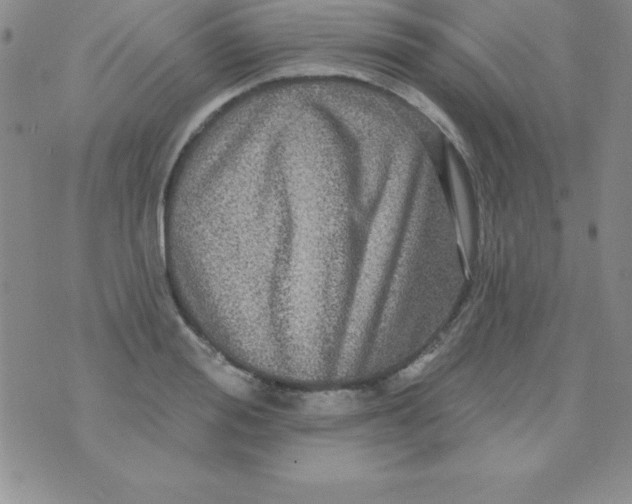 X0000075900988200610062113