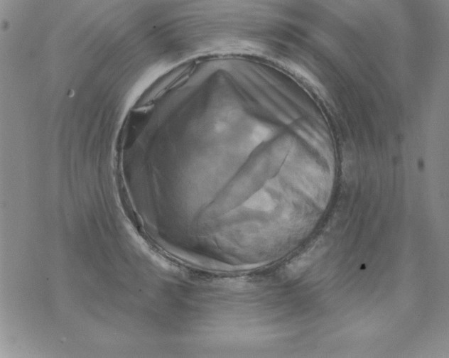 X0000075900990200610062113