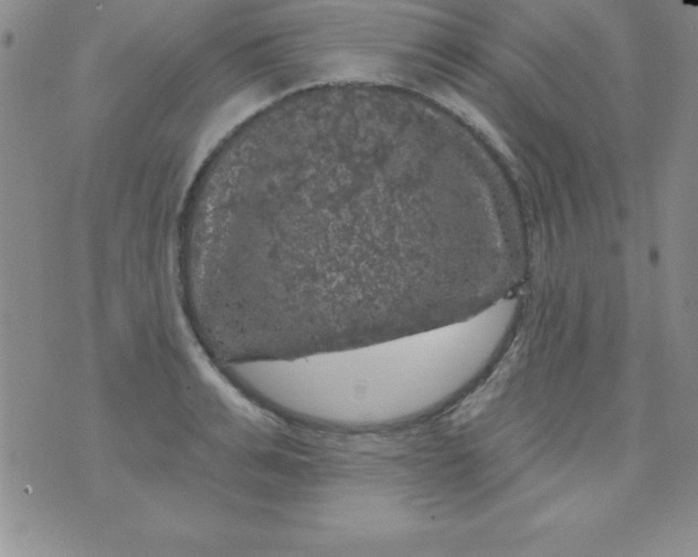 X0000075900991200610062113