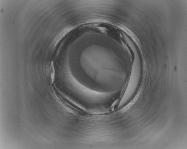 X0000075900993200610062113