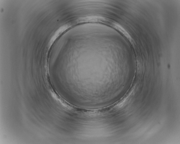 X0000075900994200610062113