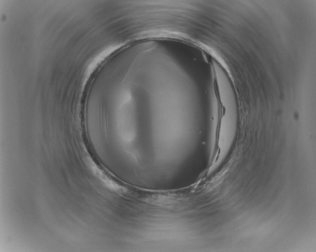 X0000075900995200610062113