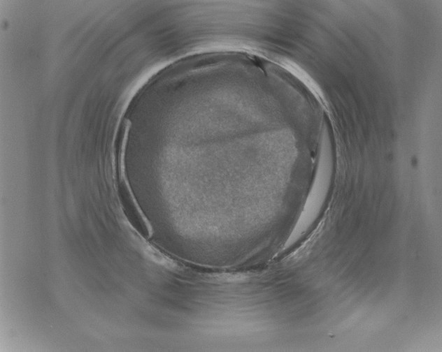 X0000075900996200610062113