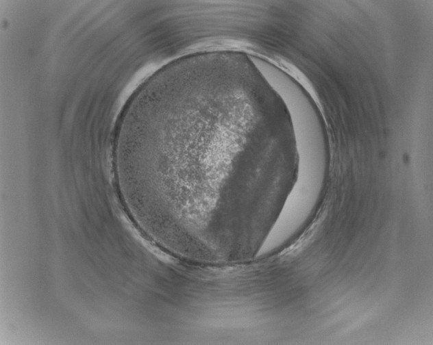 X0000075900997200610062113