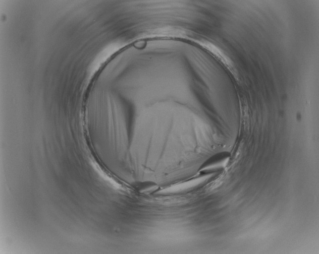 X0000075900998200610062113