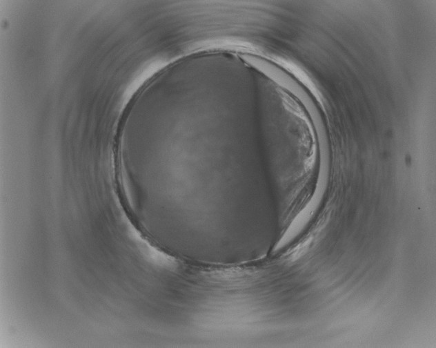 X0000075900999200610062113