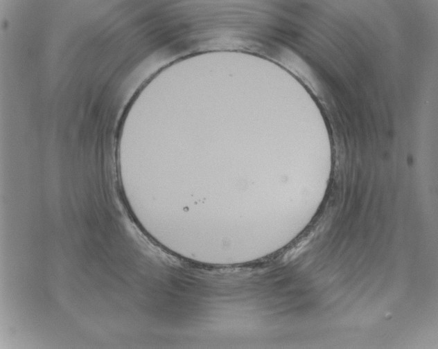 X0000075901000200610062113