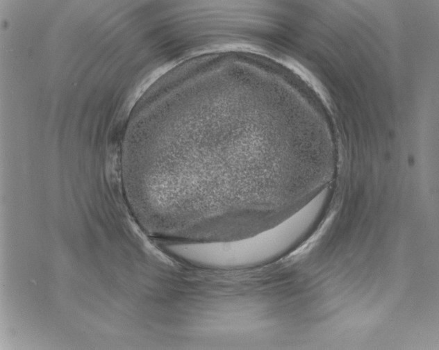 X0000075901001200610062113