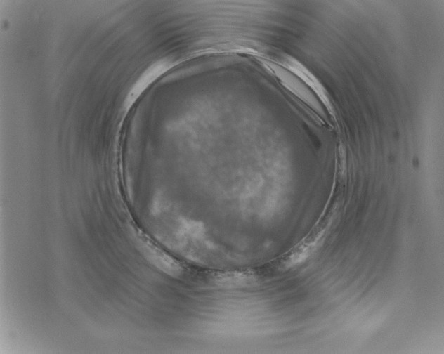 X0000075901002200610062113