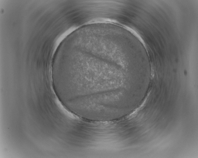 X0000075901003200610062113