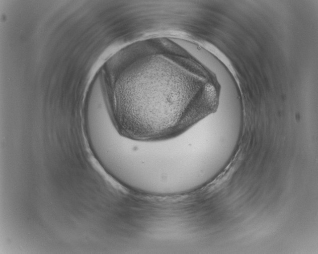 X0000075901005200610062113