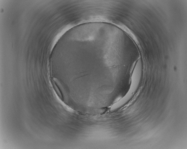 X0000075901006200610062113