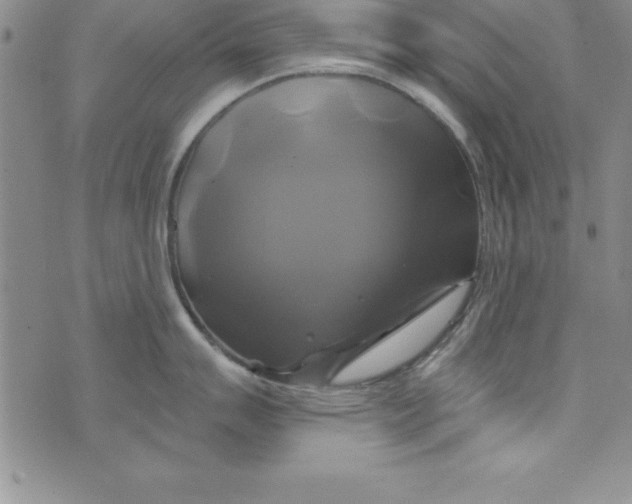 X0000075901007200610062113