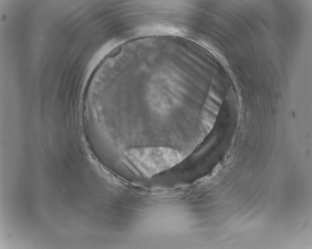 X0000075901008200610062113