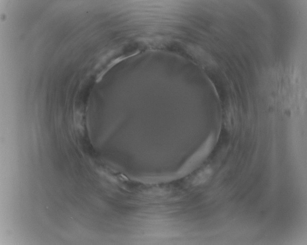 X0000075901010200610062112