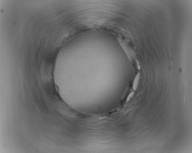 X0000075901012200610062112