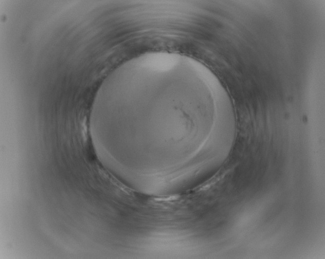 X0000075901013200610062112